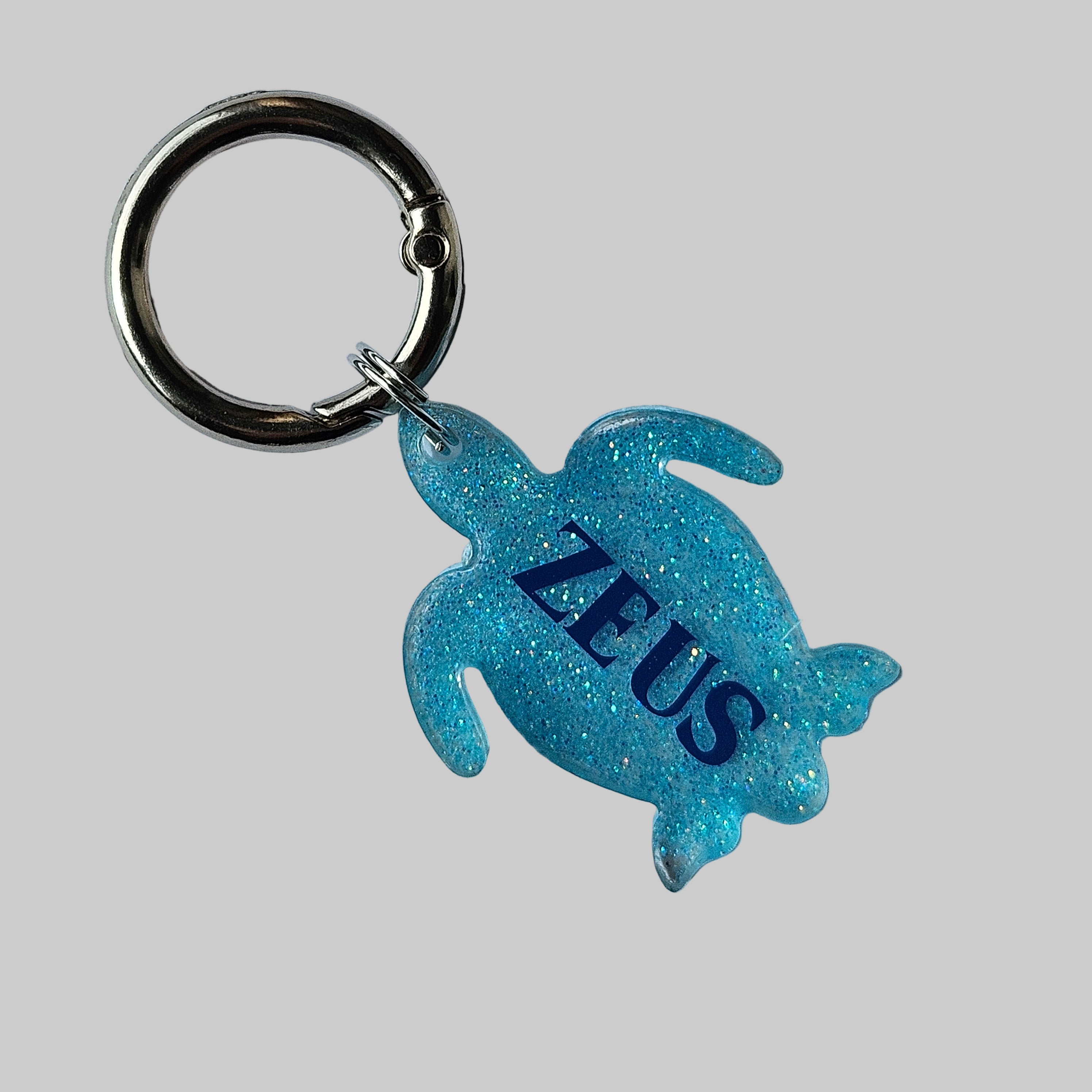 Small Turtle tag